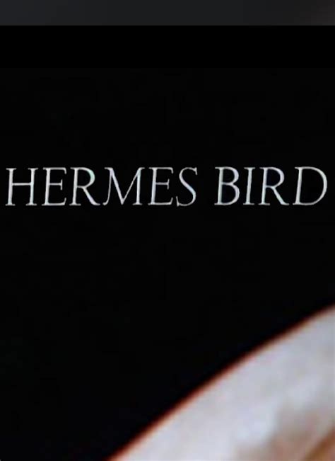 Hermes Bird (1979) Stream and Watch Online 